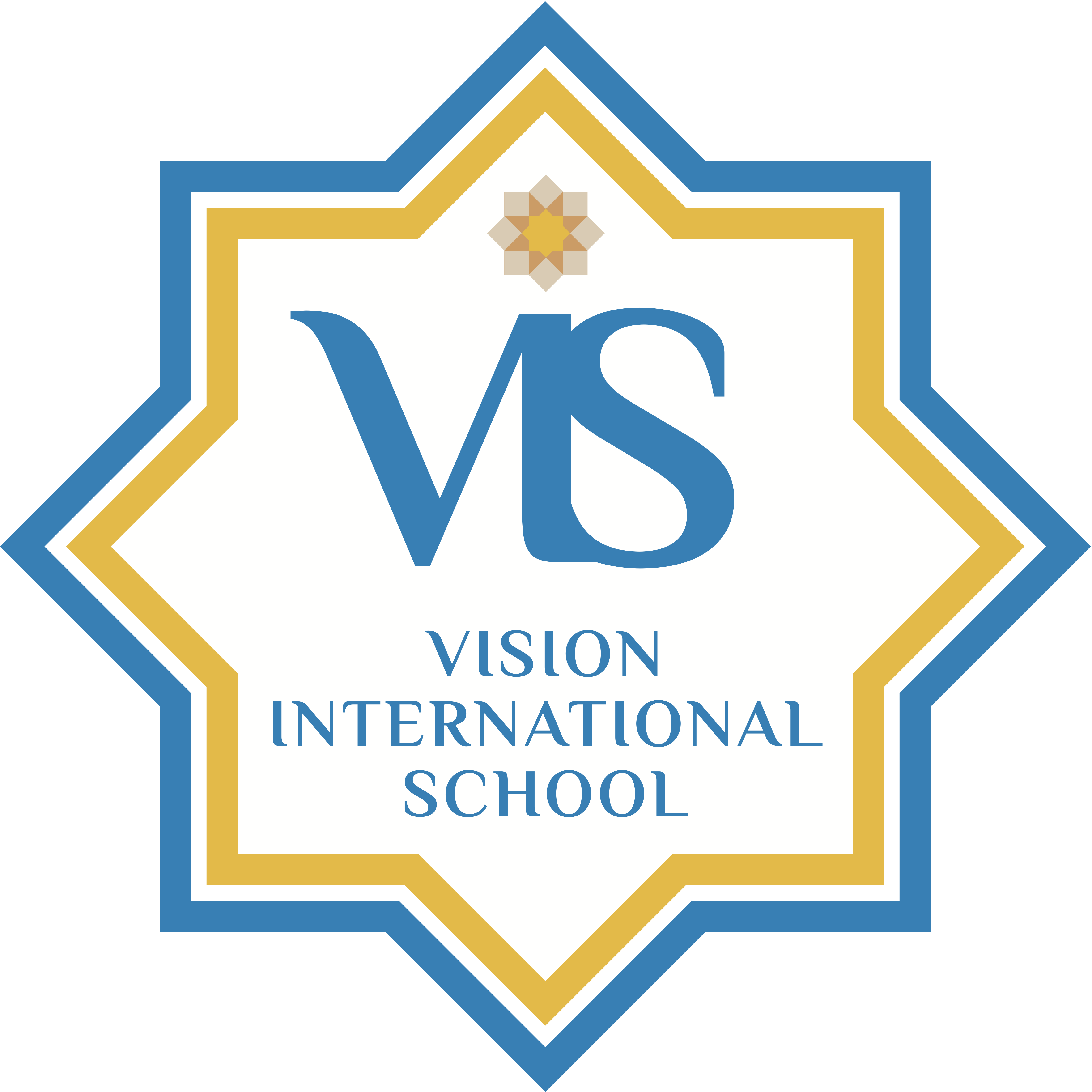 Vision International School Logo