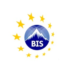 Bishkek International School Logo